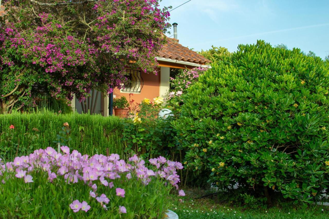 Вилла Rose Garden Melikia Экстерьер фото